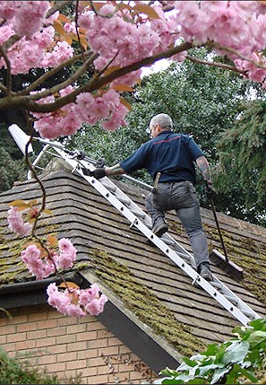 Our staff cleaning the moss from a roof in South Benfleet near Croydon